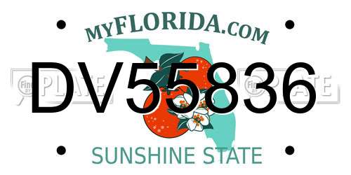 DV55836 Florida License Plate