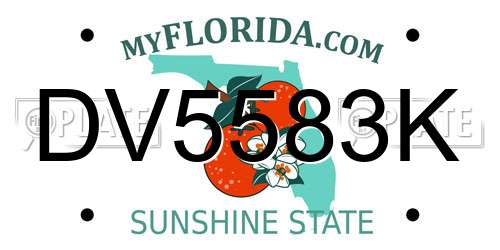 DV5583K Florida License Plate