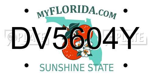 DV5604Y Florida License Plate