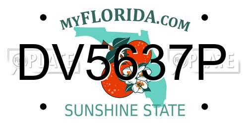 DV5637P Florida License Plate