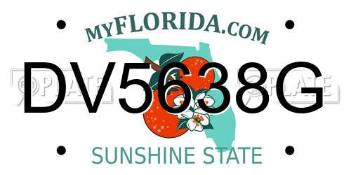 DV5638G Florida License Plate
