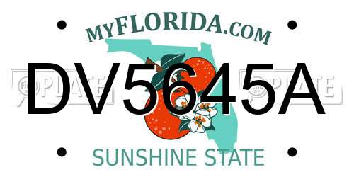 DV5645A Florida License Plate