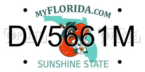 DV5661M Florida License Plate