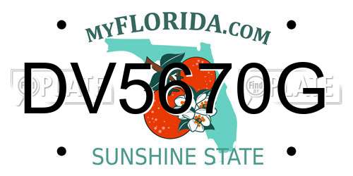 DV5670G Florida License Plate