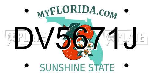 DV5671J Florida License Plate