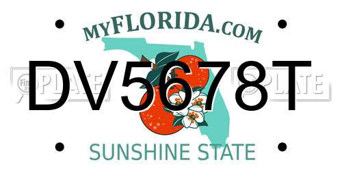 DV5678T Florida License Plate
