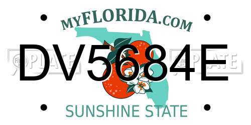 DV5684E Florida License Plate