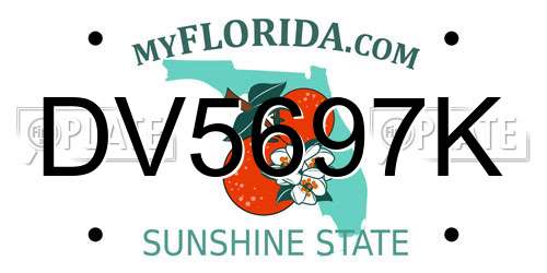 DV5697K Florida License Plate
