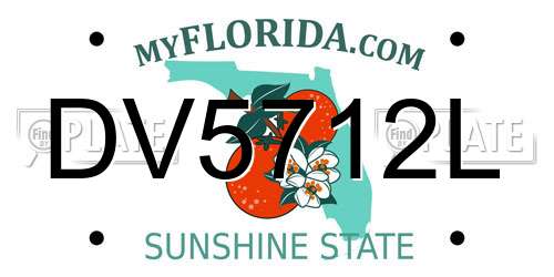 DV5712L Florida License Plate