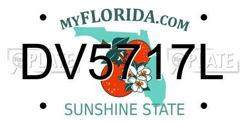 DV5717L Florida License Plate