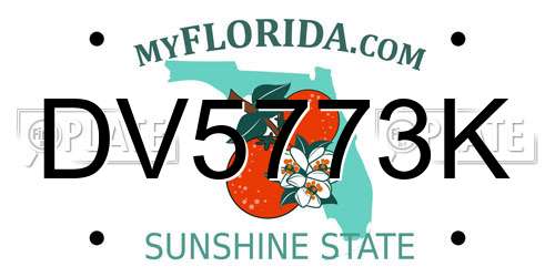 DV5773K Florida License Plate