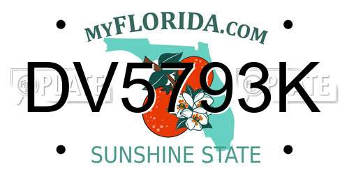 DV5793K Florida License Plate