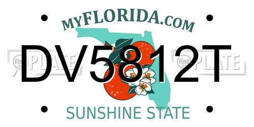 DV5812T Florida License Plate