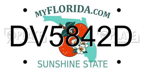 DV5842D Florida License Plate