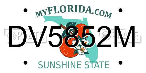DV5852M Florida License Plate