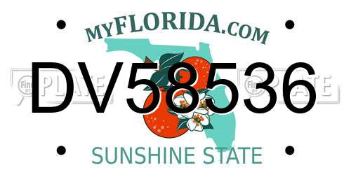 DV58536 Florida License Plate
