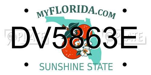 DV5863E Florida License Plate
