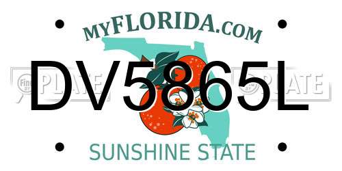 DV5865L Florida License Plate