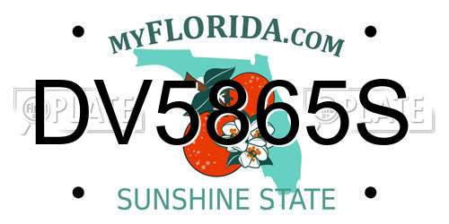 DV5865S Florida License Plate