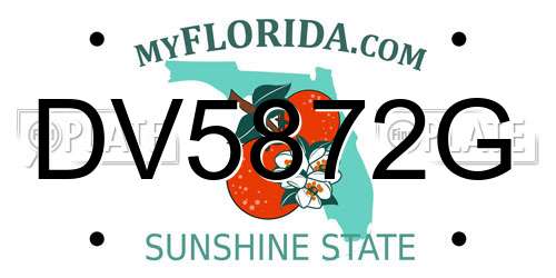 DV5872G Florida License Plate