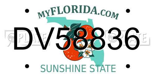 DV58836 Florida License Plate