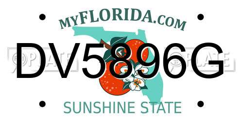 DV5896G Florida License Plate