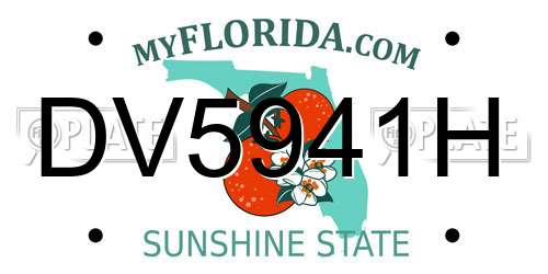 DV5941H Florida License Plate