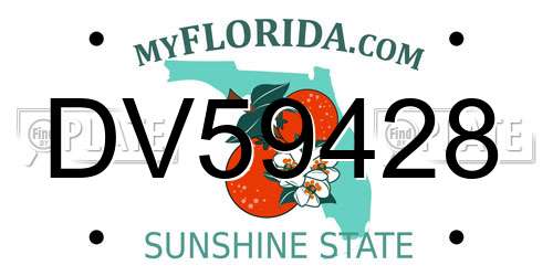 DV59428 Florida License Plate