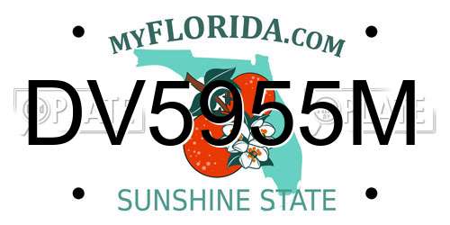 DV5955M Florida License Plate