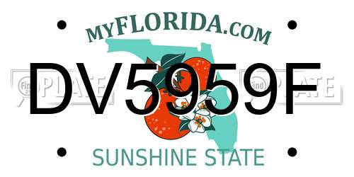 DV5959F Florida License Plate