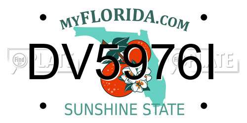 DV5976I Florida License Plate