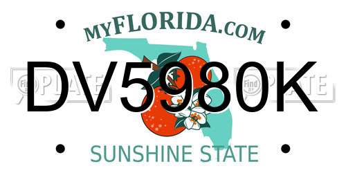 DV5980K Florida License Plate