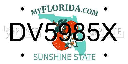 DV5985X Florida License Plate