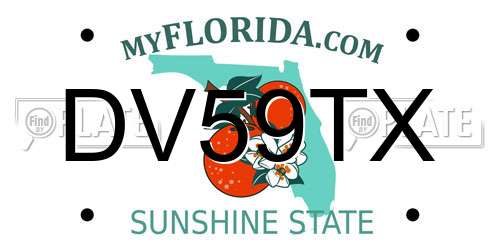 DV59TX Florida License Plate