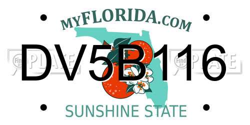 DV5B116 Florida License Plate