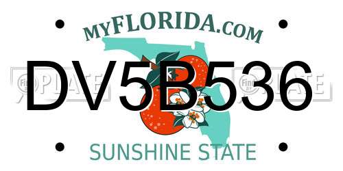 DV5B536 Florida License Plate