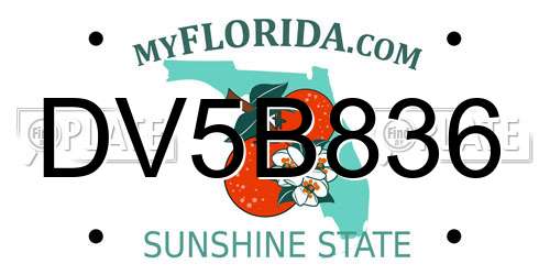 DV5B836 Florida License Plate