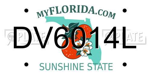 DV6014L Florida License Plate