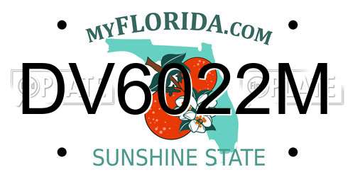 DV6022M Florida License Plate