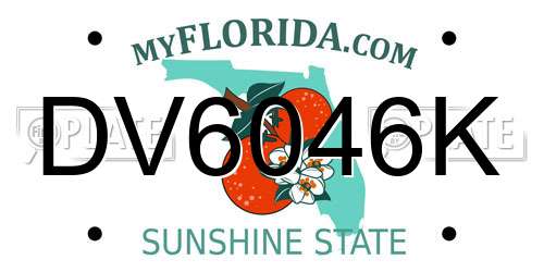 DV6046K Florida License Plate