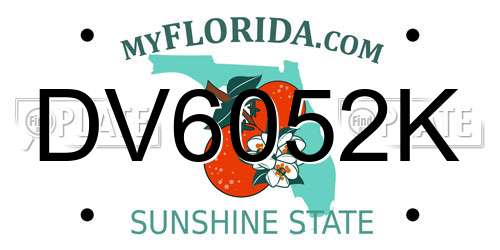DV6052K Florida License Plate