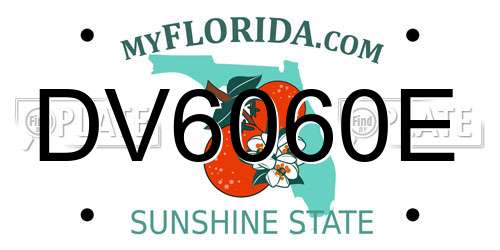 DV6060E Florida License Plate