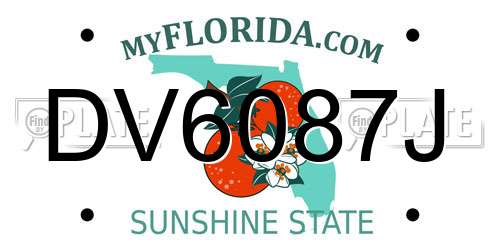 DV6087J Florida License Plate