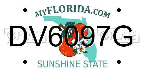 DV6097G Florida License Plate