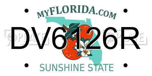 DV6126R Florida License Plate