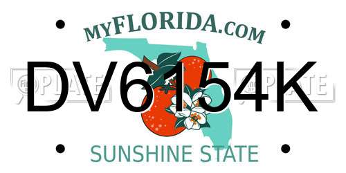 DV6154K Florida License Plate