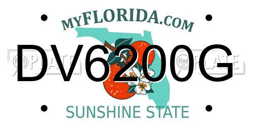 DV6200G Florida License Plate