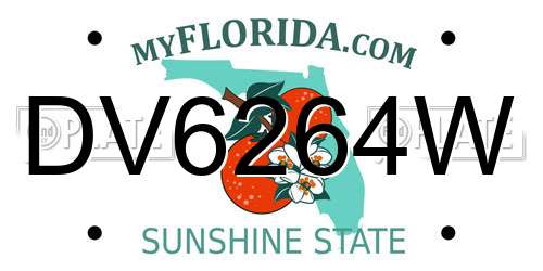 DV6264W Florida License Plate