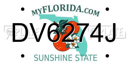 DV6274J Florida License Plate