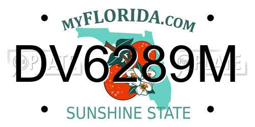 DV6289M Florida License Plate